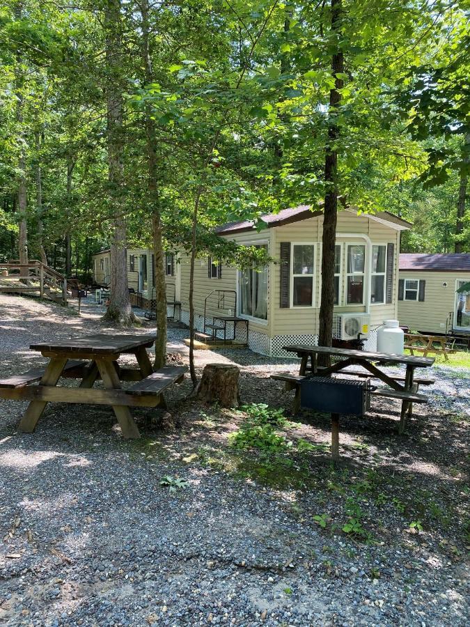 The Vintage Rv'S At Wilderness Presidential Camp Resort By Tripforth Spotsylvania Kültér fotó