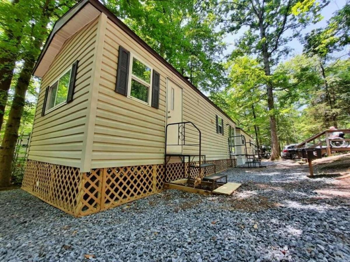 The Vintage Rv'S At Wilderness Presidential Camp Resort By Tripforth Spotsylvania Kültér fotó